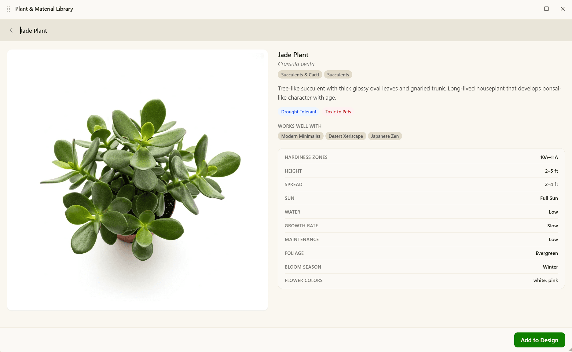 Jade Plant plant detail
